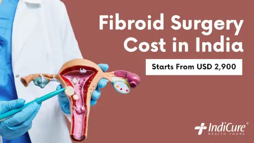 Fibroid Surgery Cost in India Fibroid Surgery Cost in India